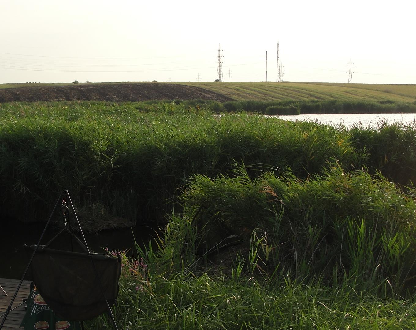 Balta LAZAR Alexandria  15 - 16 aug. - cu asta ne-am trezit in fata dupa ce a plecat la plimbare :) dupa 5 minute locul a redevenit practicbil
